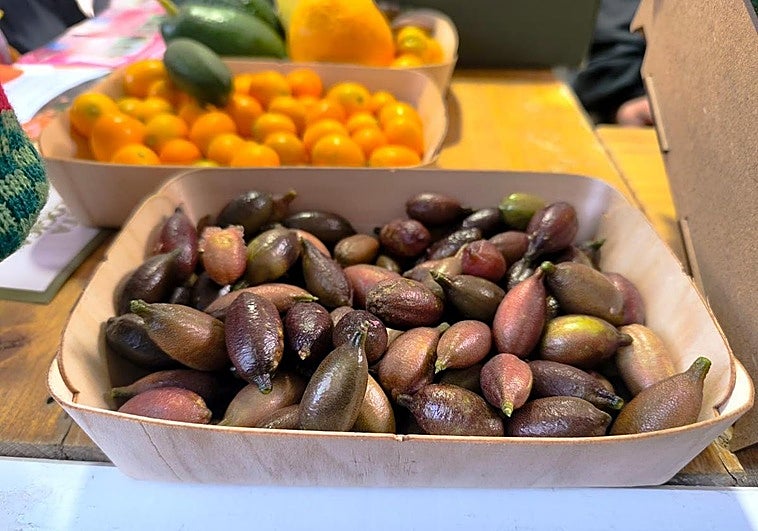 Productos novedosos y originales que se pueden comprar en la Gran Feria Sabor a Málaga: desde cerveza con espirulina hasta turrón de queso